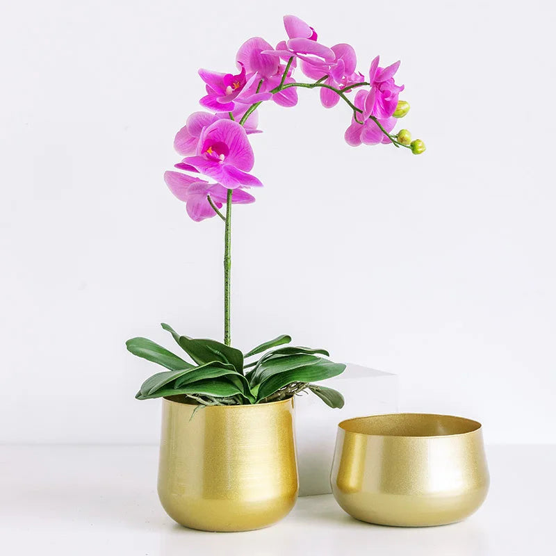 Modern Metal Flowerpot Luxury Golden Vase Crafts Metal Hydroponic Vase Plant Potted Flowerpot Countertop Living Room Decoration